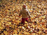 落ち葉と子供