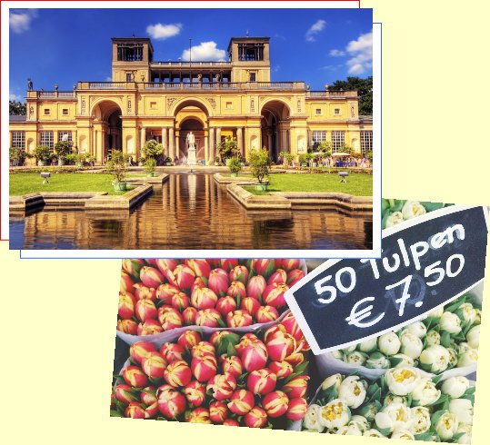 宮殿とチューリップ