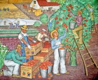 カリフォルニアオレンジ