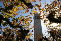 秋のカリフォルニア大学バークレー校