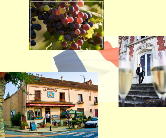 葡萄、ワイナリー、ワイン